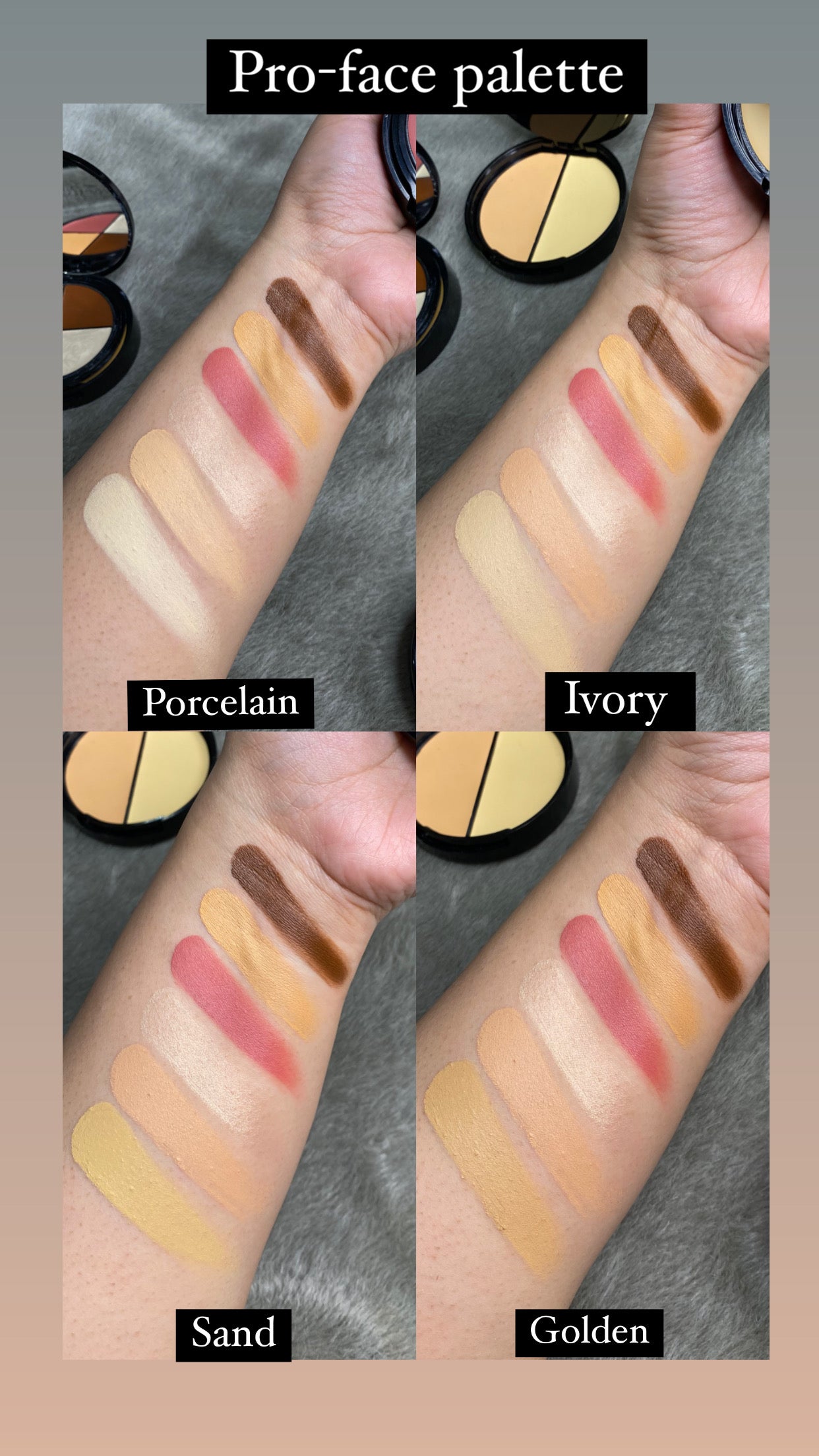Proface Palette